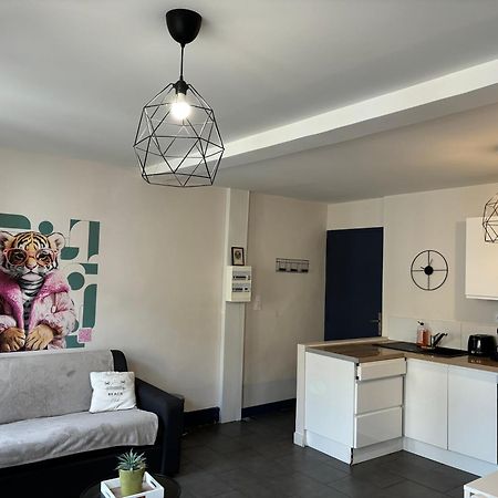 Spacieux, Climatisé, Quartier Calme, Proche Château, Le Cocon De Joy Carcassonne Esterno foto